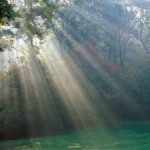 luce