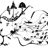44 Ragioni che smontano la teoria dell’evoluzione