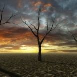 Molti conduttori credono di essere vivi, ma per Gesù sono morti