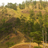 Il gran risveglio sulle colline di Khasya