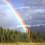 Una buona notizia a coloro che brancolano nel buio di questo mondo di tenebre