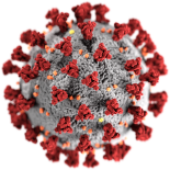 Cristiani d’Italia temete Dio, non il coronavirus