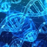 I cristiani devono rigettare con forza ogni forma di manipolazione genetica